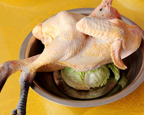 青島優良金鑼生鮮雞肉價格